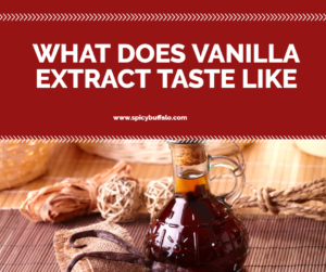 5 Clarifications On What Does Vanilla Extract Taste Like | Spicy Buffalo