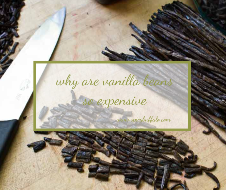 You Will Never Believe These Bizarre Truth Behind Why Are Vanilla Beans ...