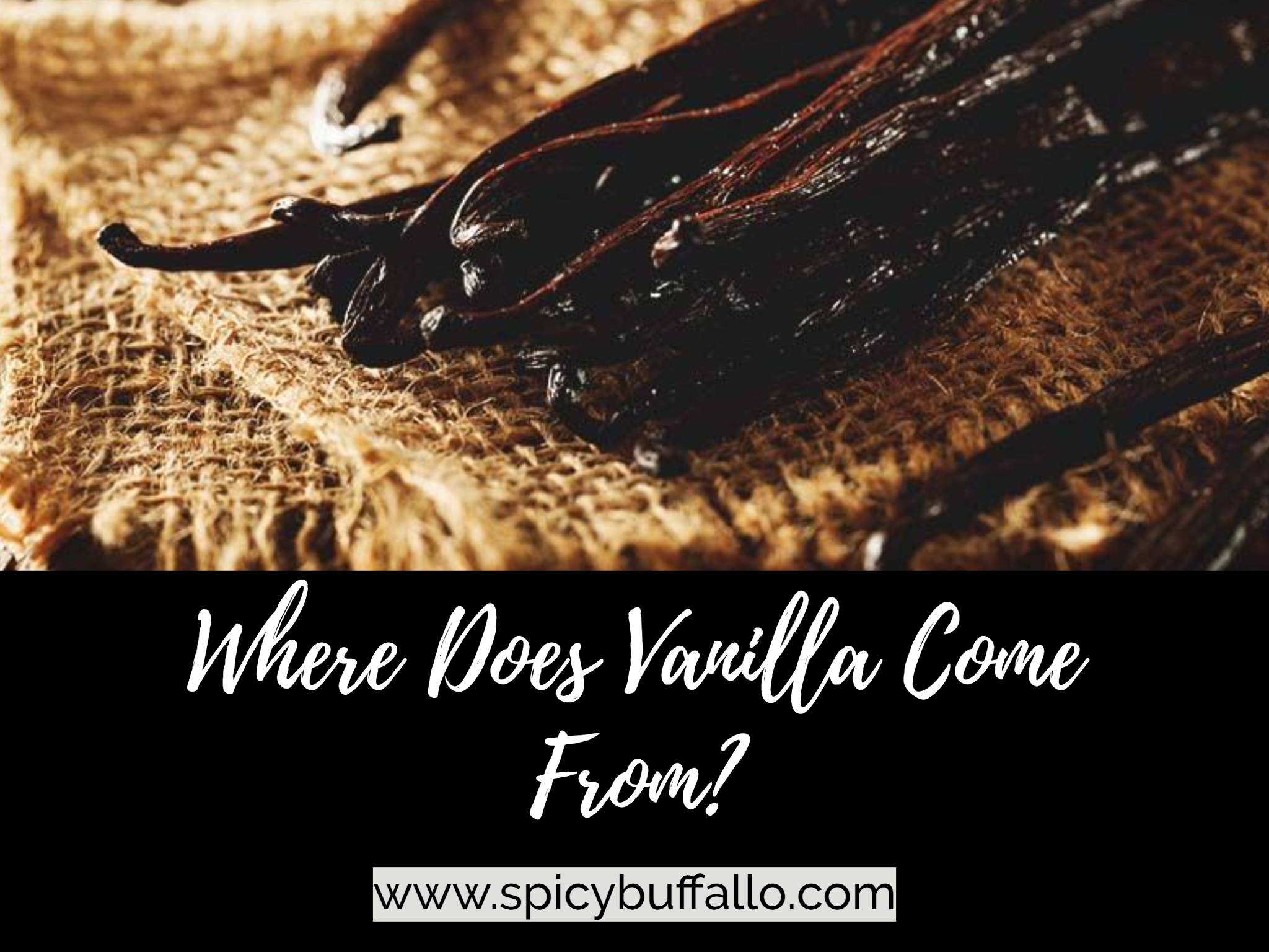 Where Does Vanilla Come From Spicy Buffalo