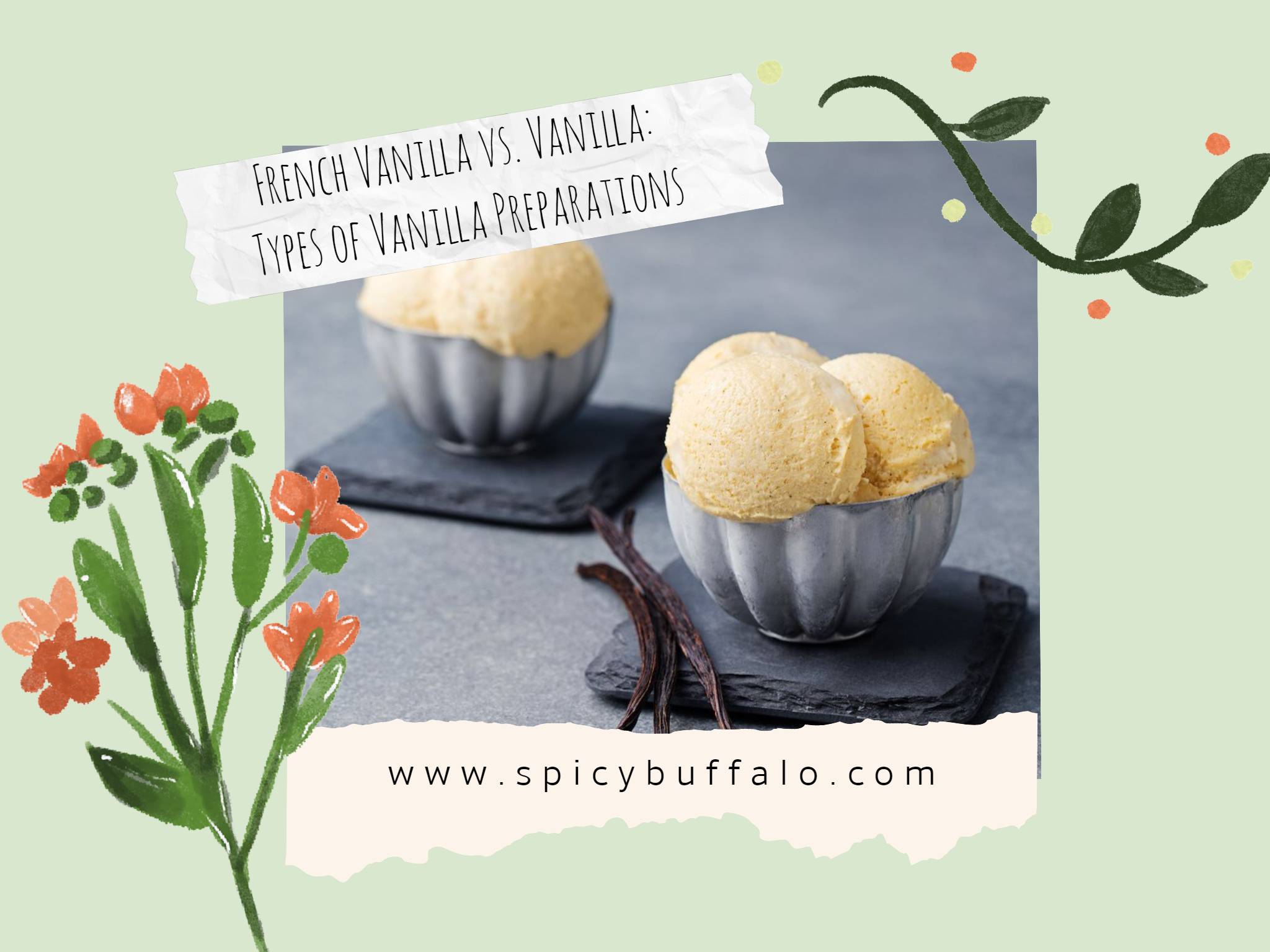 french-vanilla-vs-vanilla-types-of-vanilla-preparations-spicy-buffalo