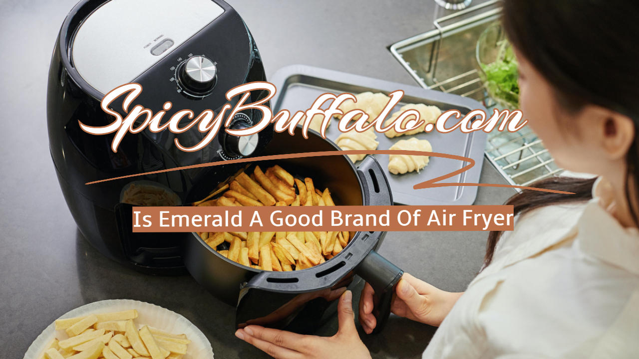 air fryer safari